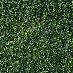 Green Leafy Wall Backdrop